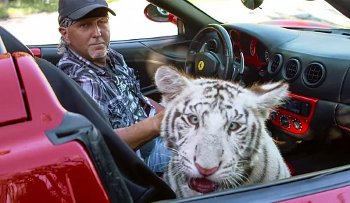 Netflix может выпустить дополнительный эпизод «Короля тигров»