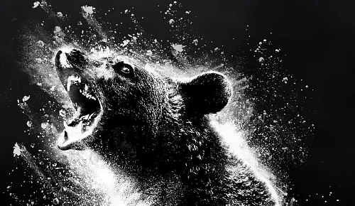 Триллер Элизабет Бэнкс «Кокаиновый медведь» получил стильный постер